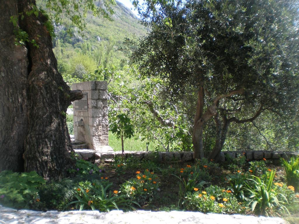 Villa Lidija Budva Rom bilde